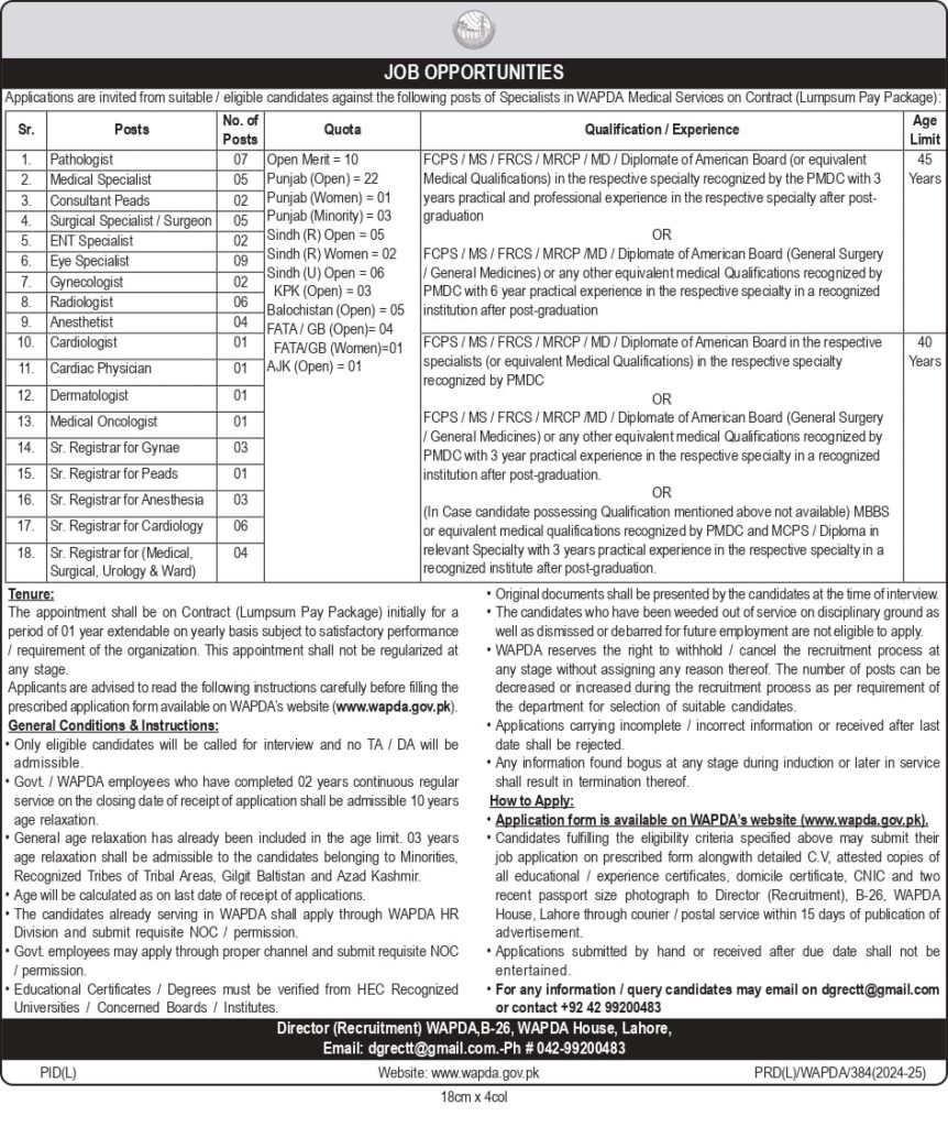 Wapda Job