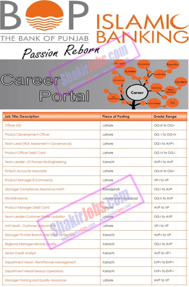 The Bank of Punjab Careers