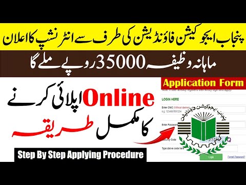 pef internship