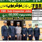fbr jobs advertisement