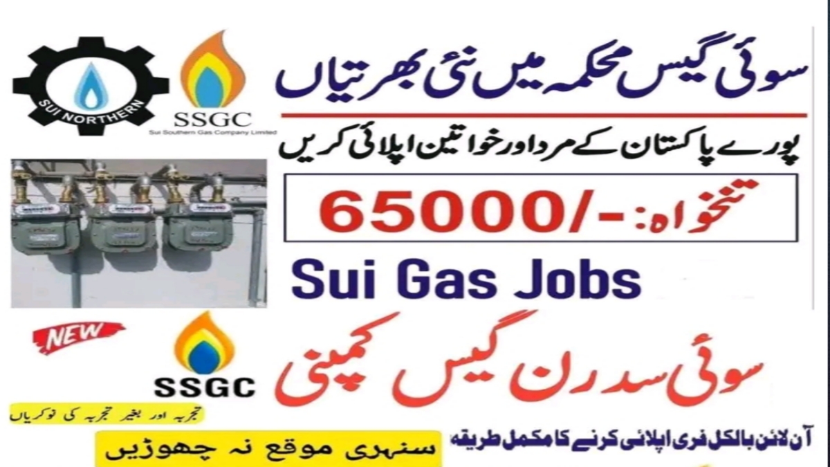 ssgc jobs